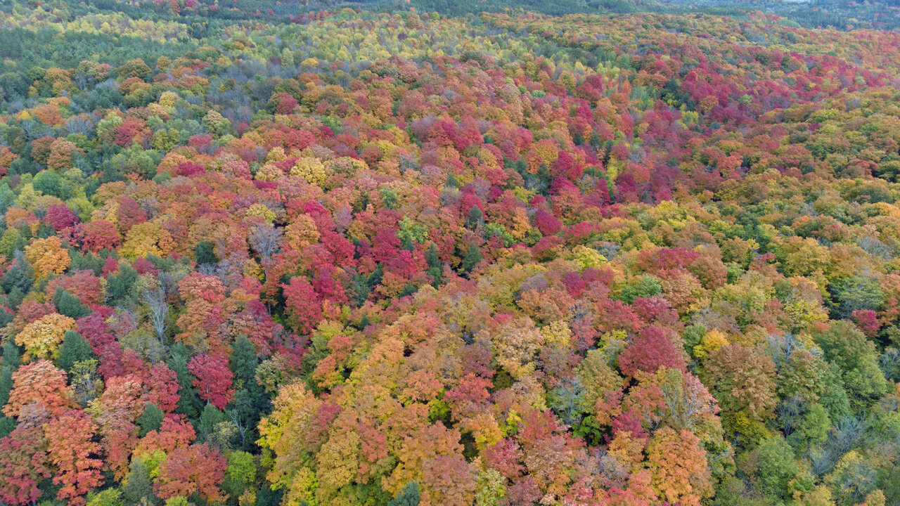 DJI_0515e.jpg