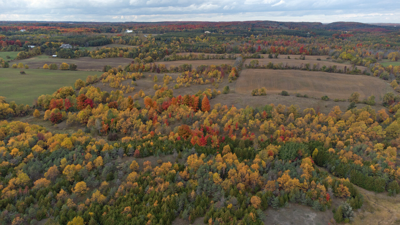 DJI_0517e.jpg