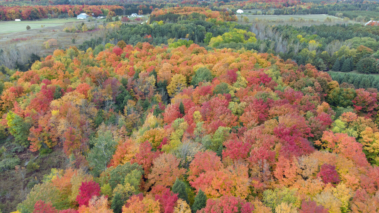 DJI_0532e.jpg