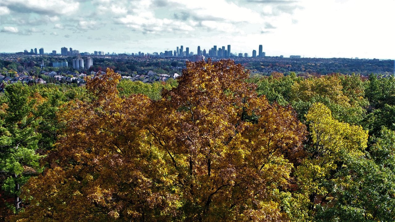 DJI_0566.JPG