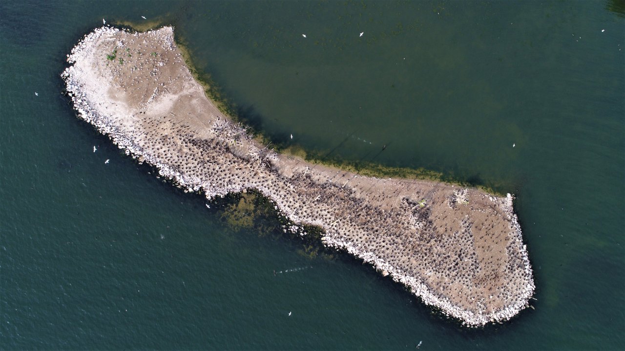 DJI_0653.JPG