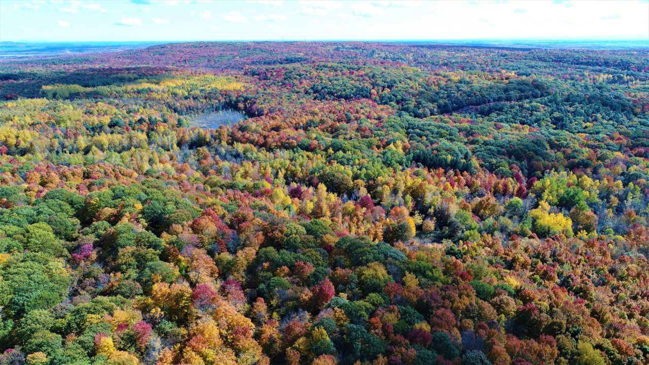 DJI_0678.JPG