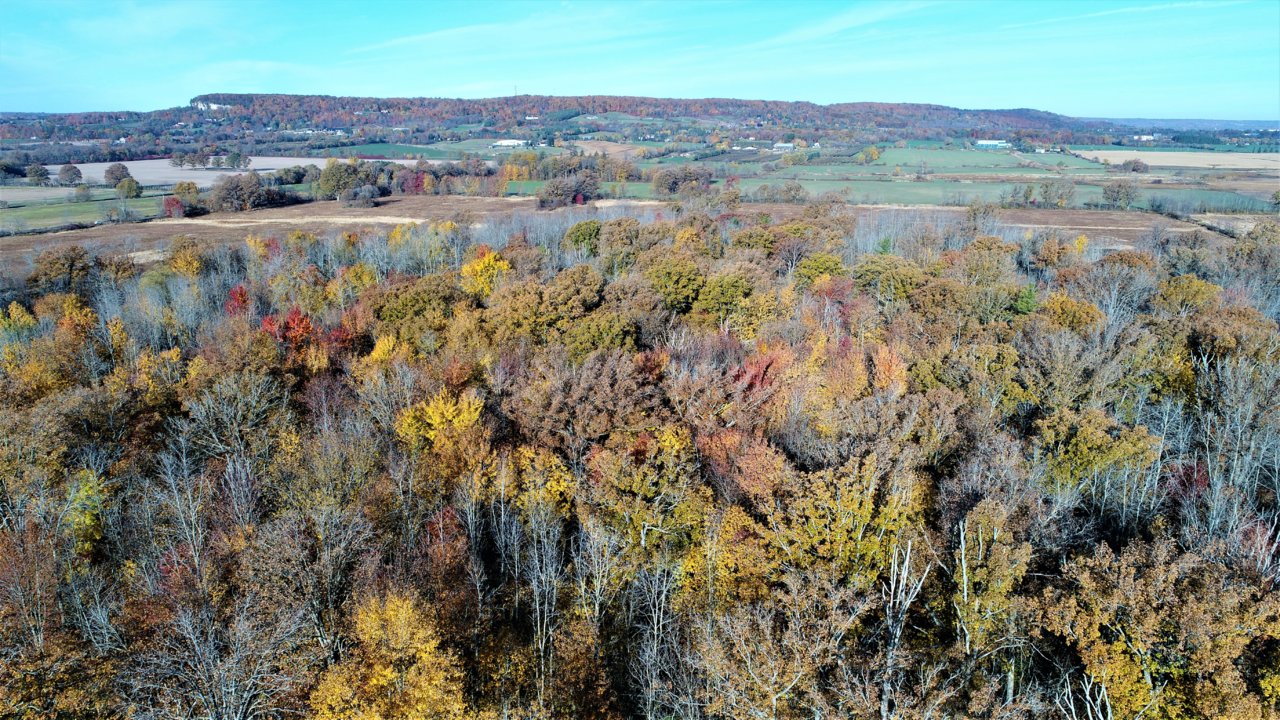 DJI_0751.JPG