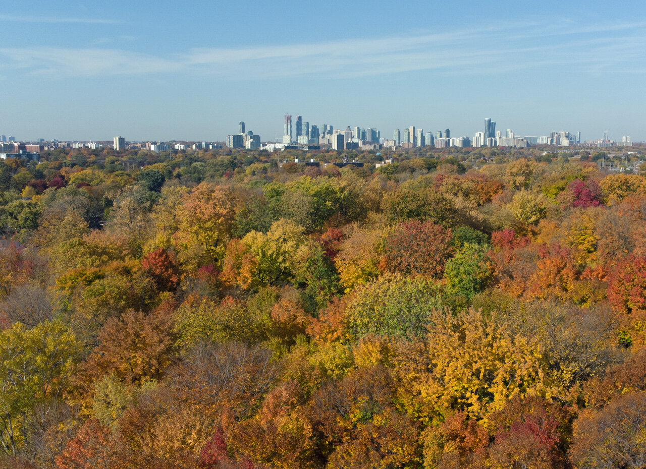 DJI_0868ce.jpg