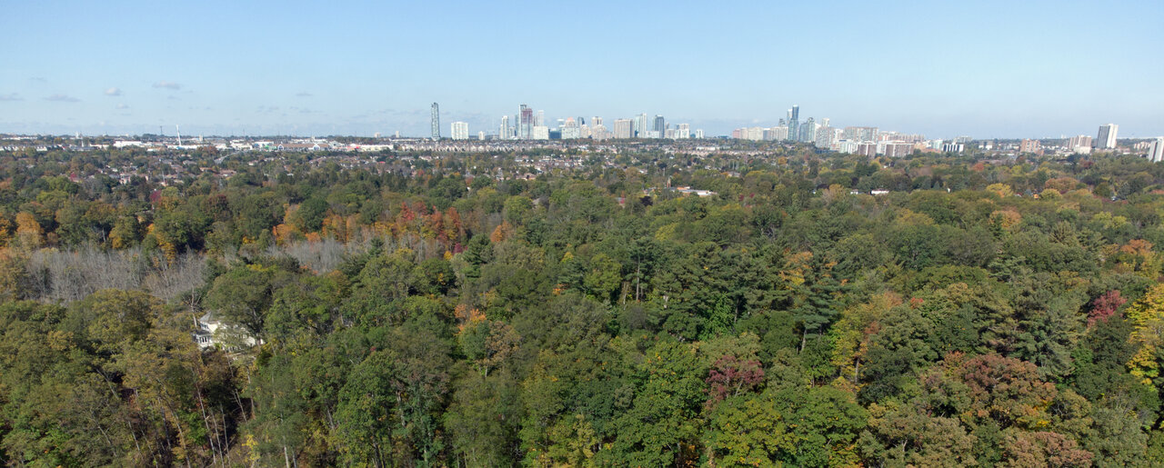 DJI_0951ce.jpg