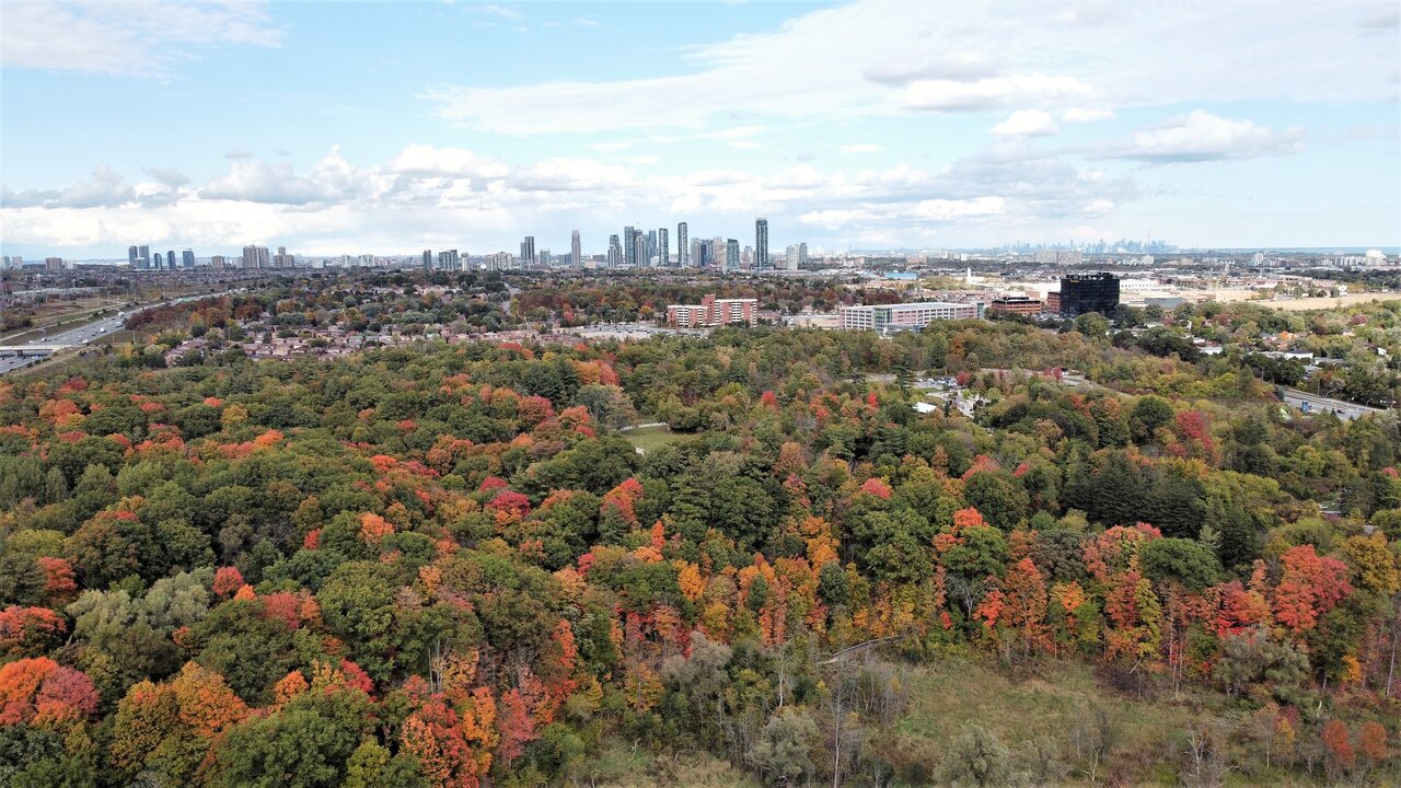 DJI_0984.JPG