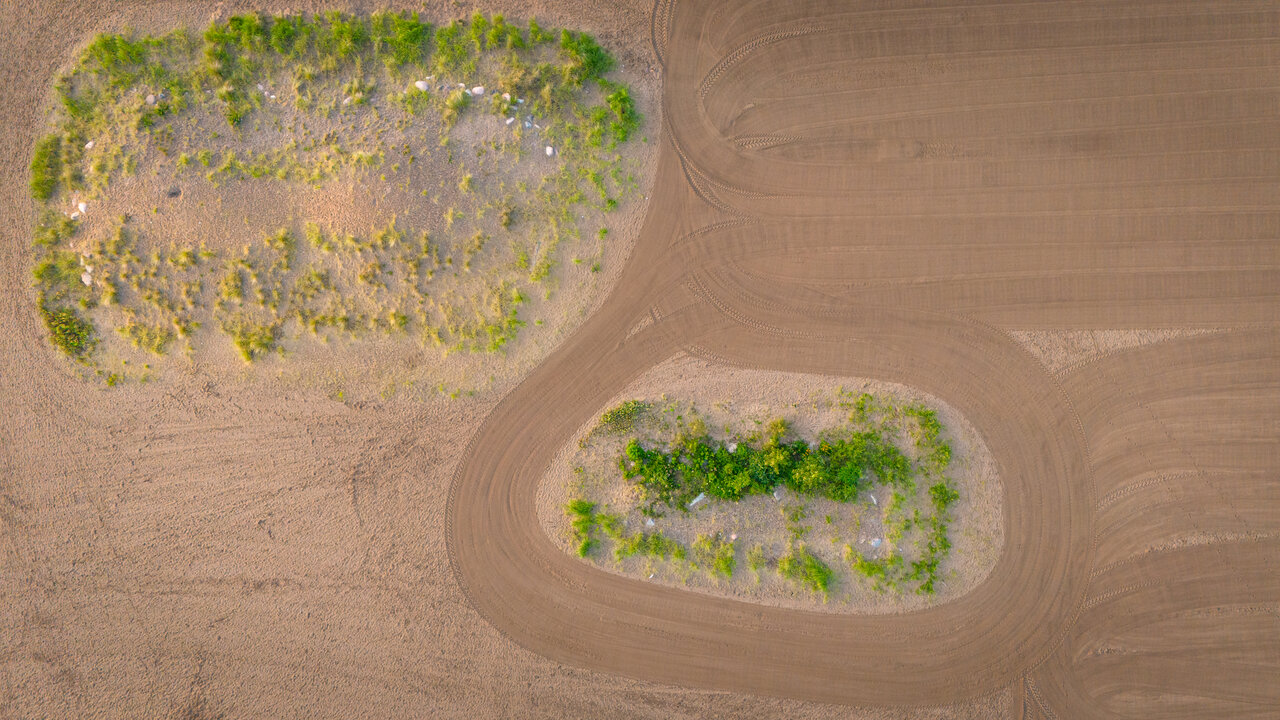 DJI_20240714062129_0093_D.jpg