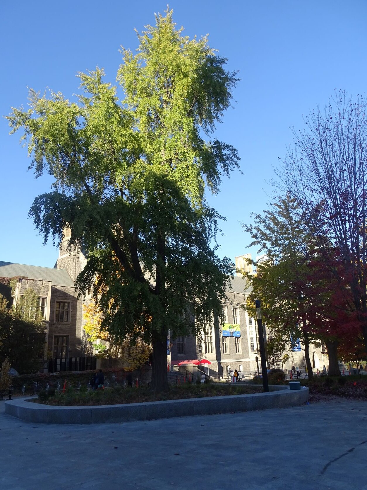 DSC00085.JPG