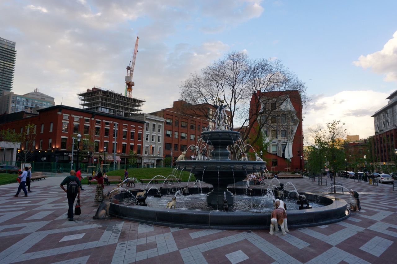 DSC00154.jpg