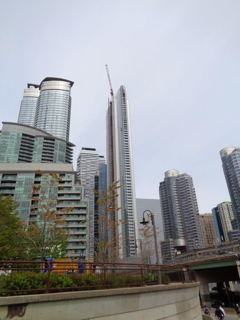 DSC00416.jpg