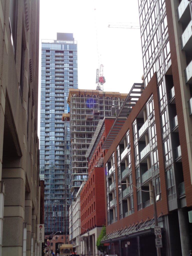 DSC00419.jpg