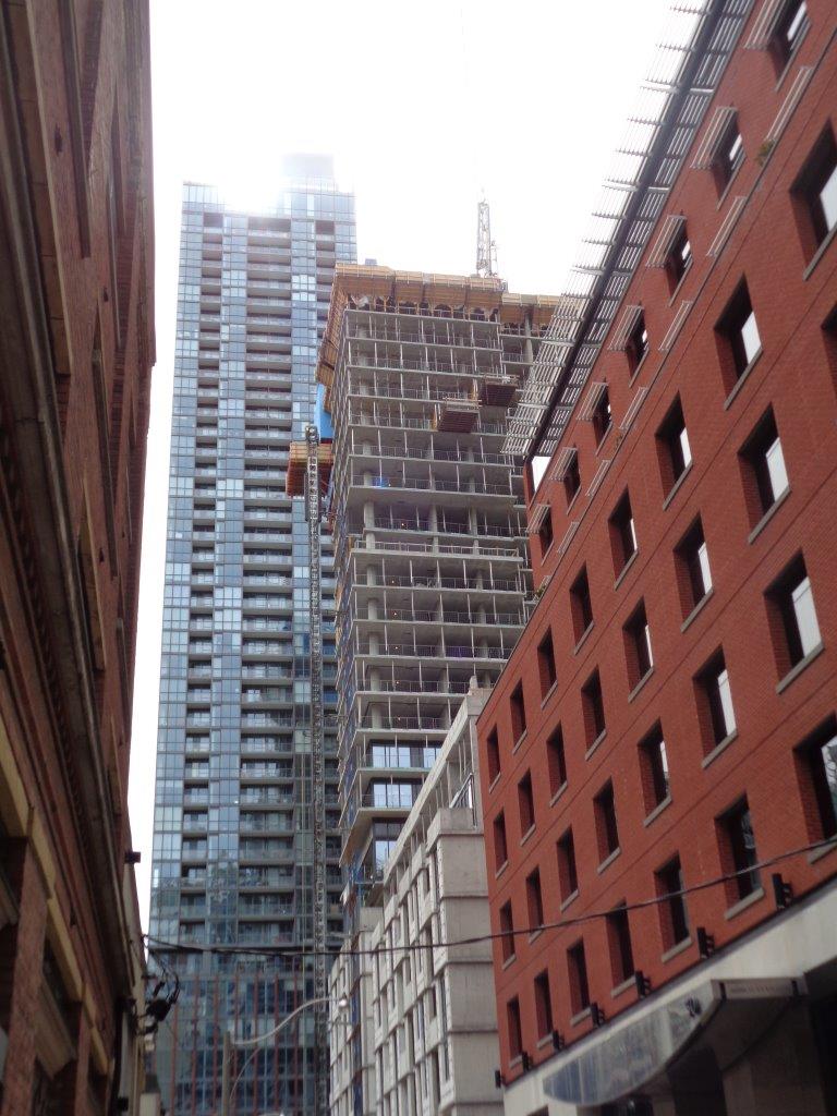 DSC00420.jpg
