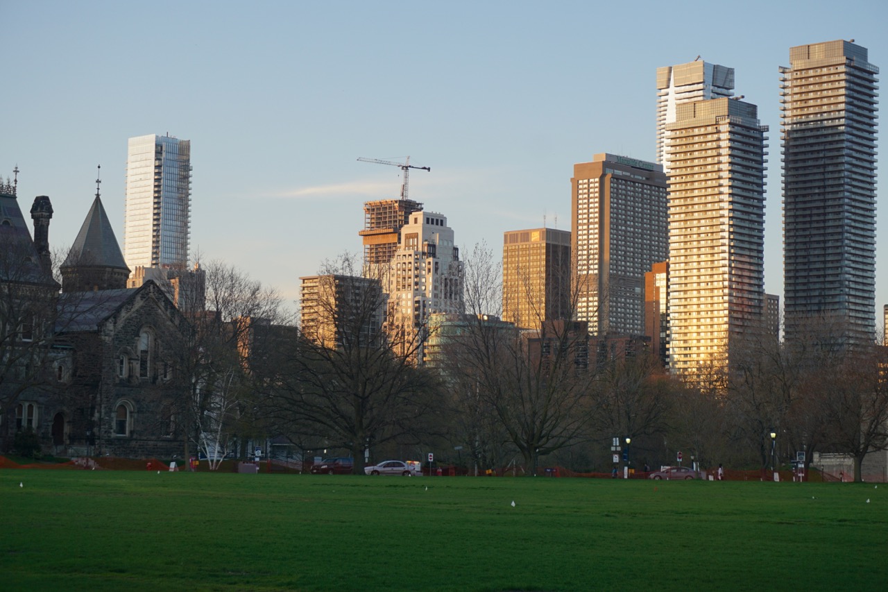 DSC00885.jpg