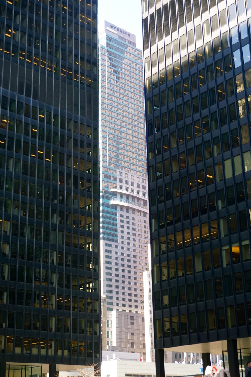 DSC01031.jpg