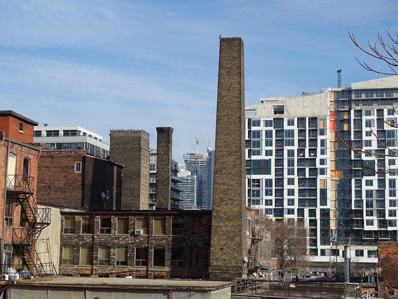 DSC01080.JPG