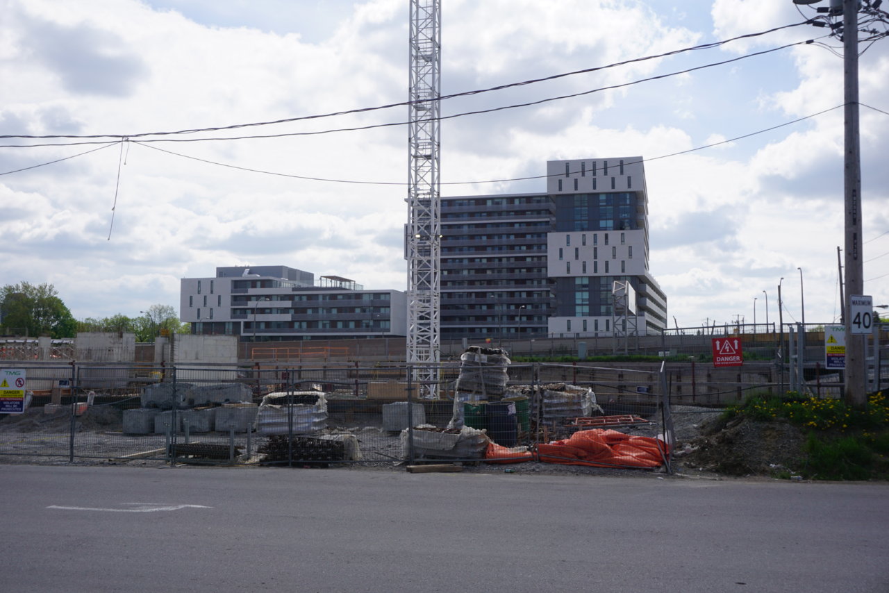 DSC01404.JPG