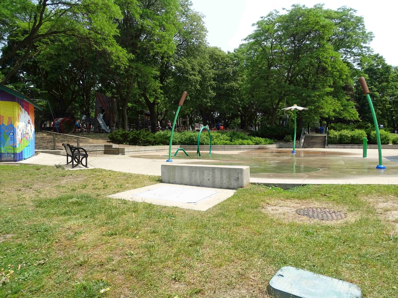 DSC017568.jpg