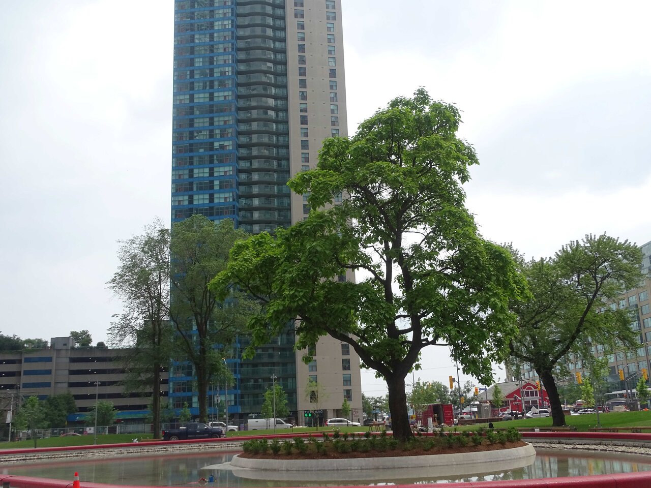 DSC01947.jpg