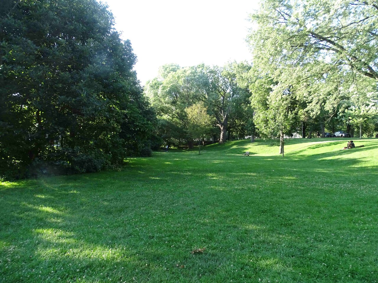 DSC02008.jpg