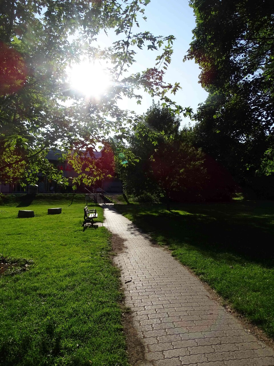 DSC02013.jpg