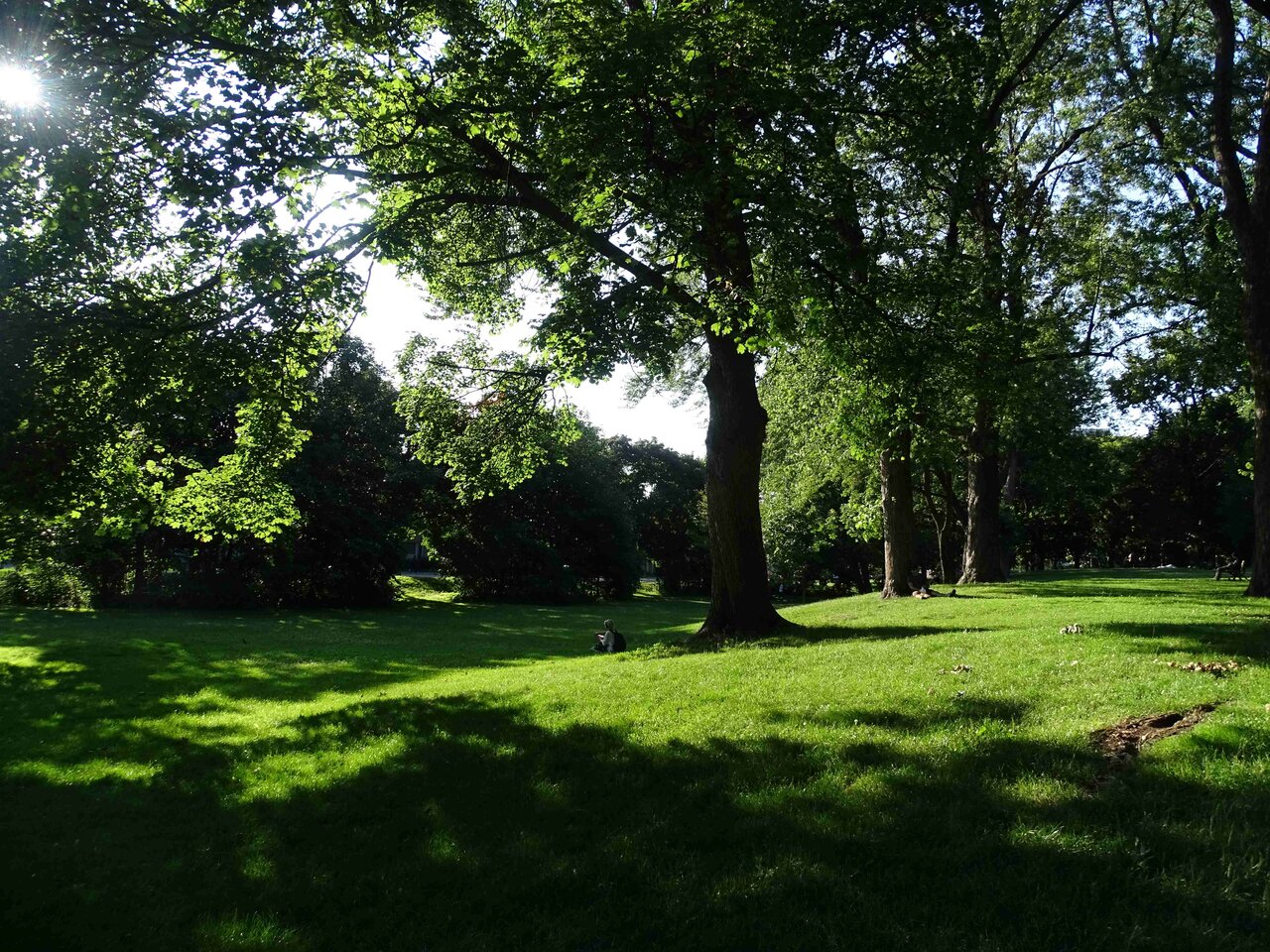 DSC02014.jpg