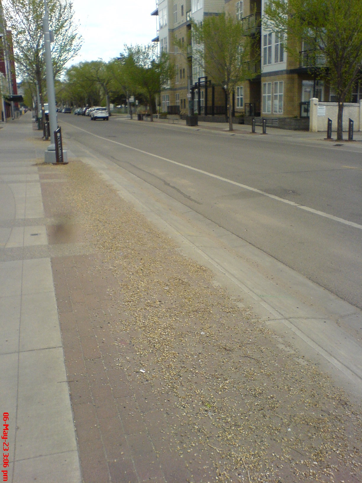 DSC02128.JPG