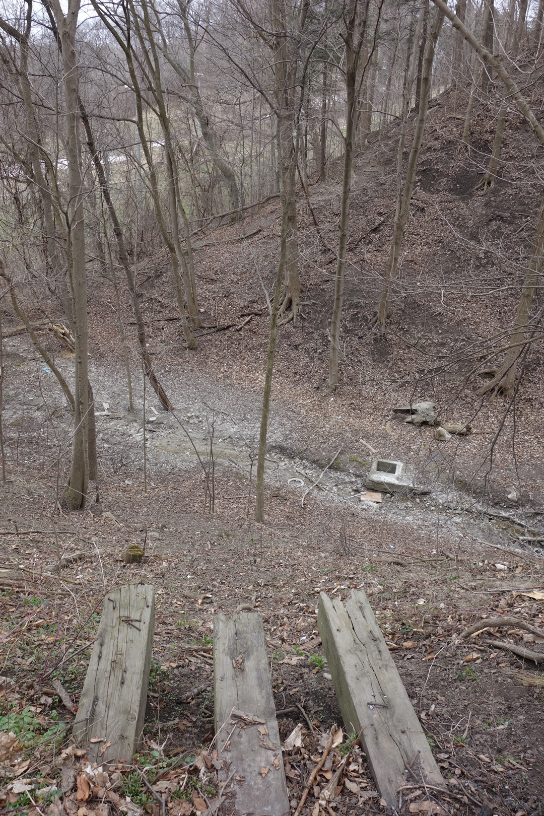 DSC02420.JPG