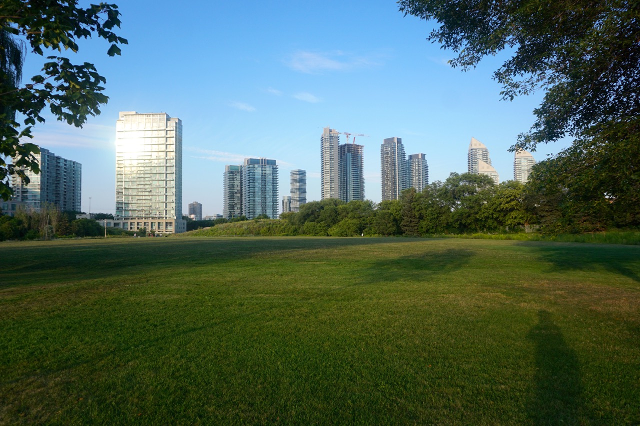 DSC02436.jpg