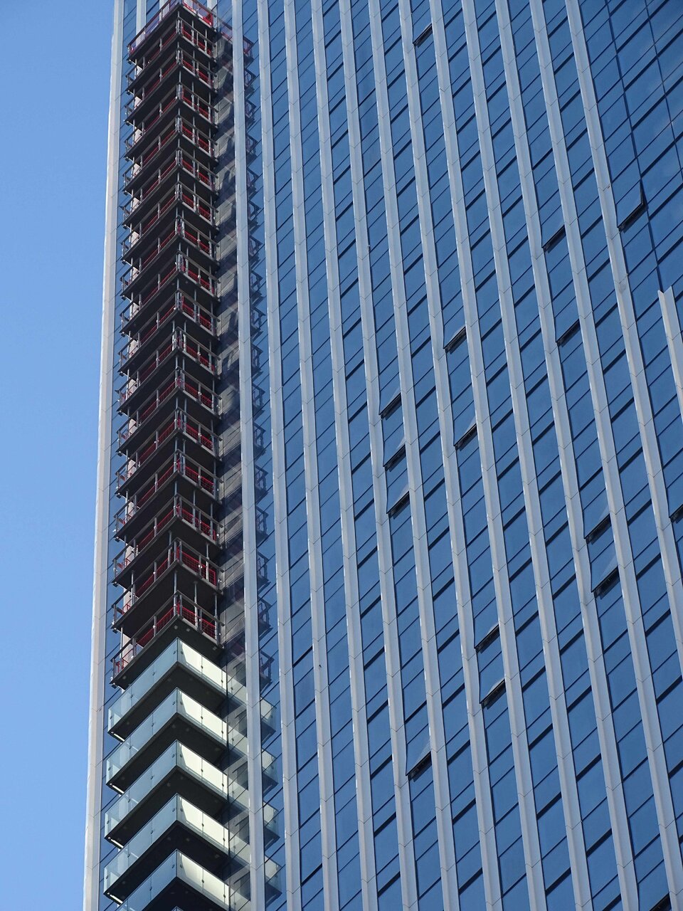 DSC02644.jpg
