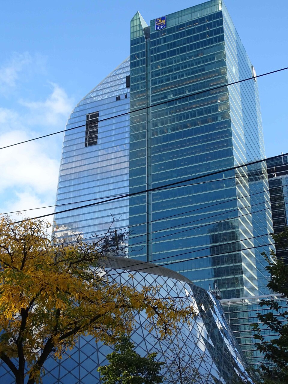DSC02648.jpg