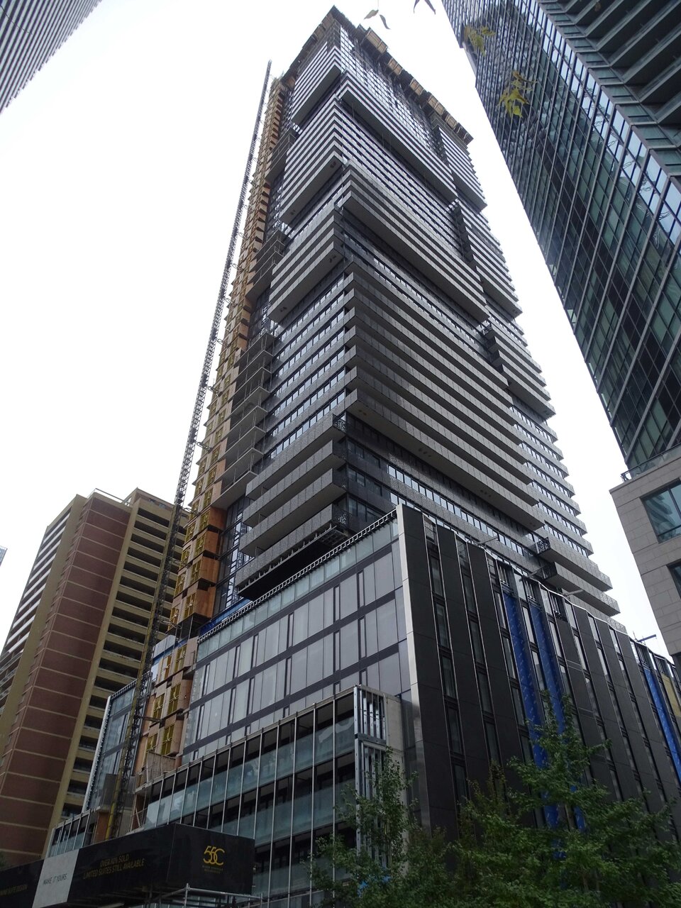 DSC02690.jpg