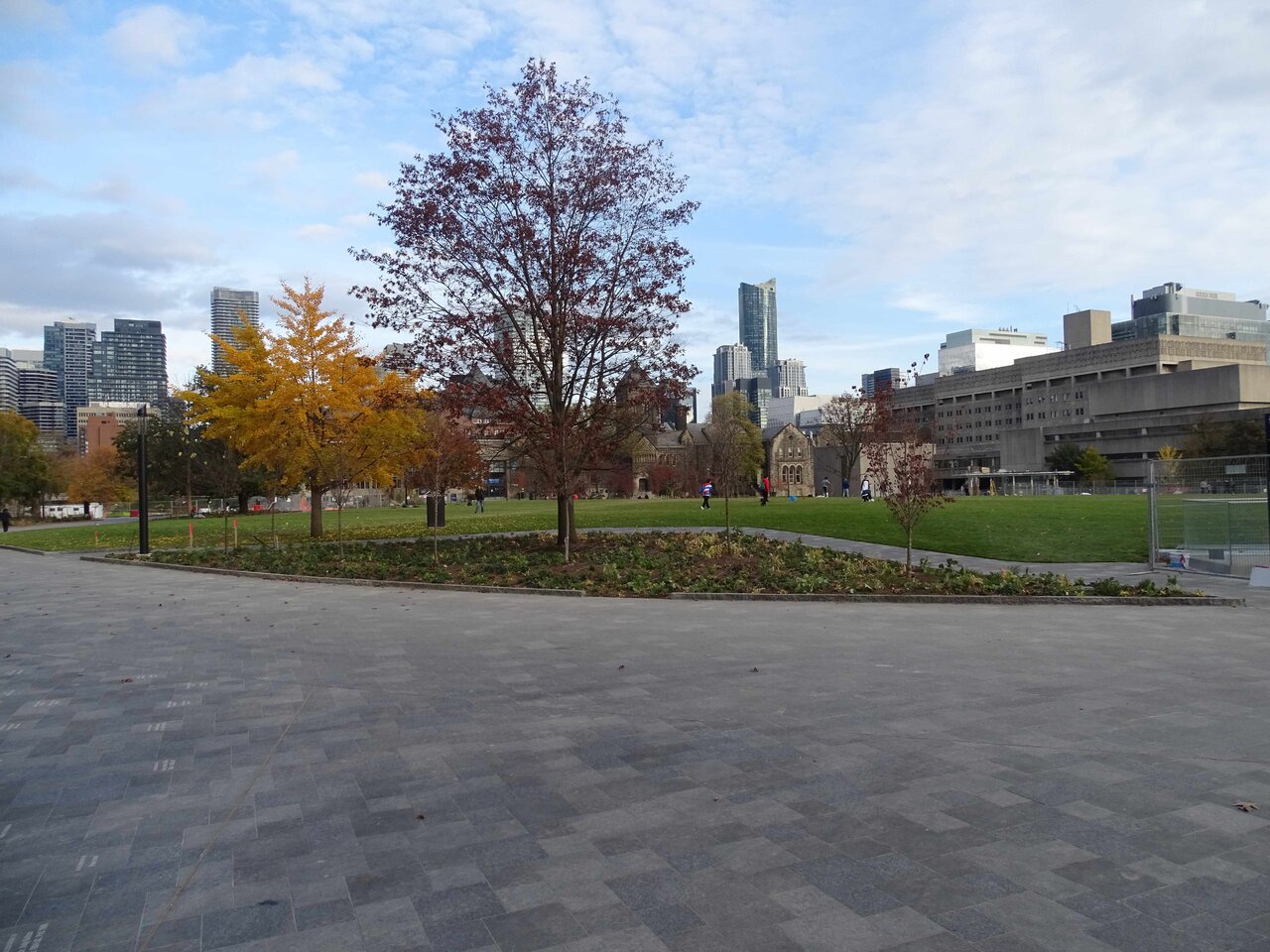 DSC02770.jpg