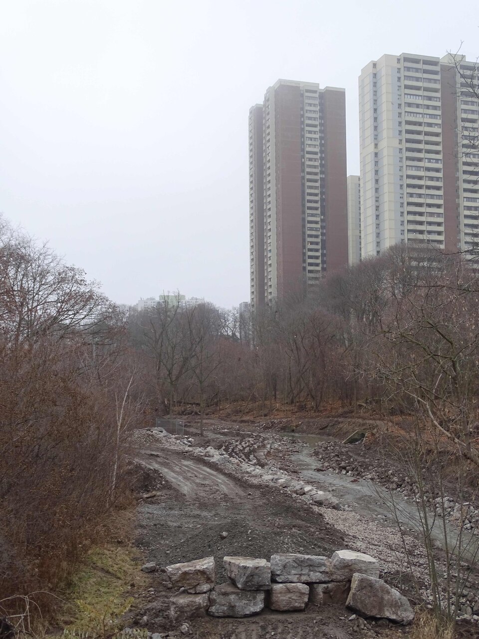 DSC02899.jpg