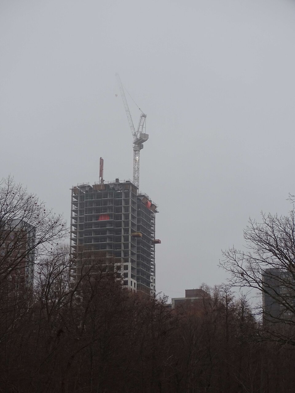 DSC02907.jpg