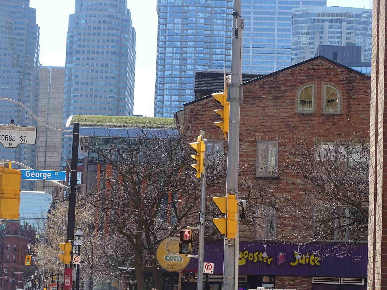 DSC03507.jpg