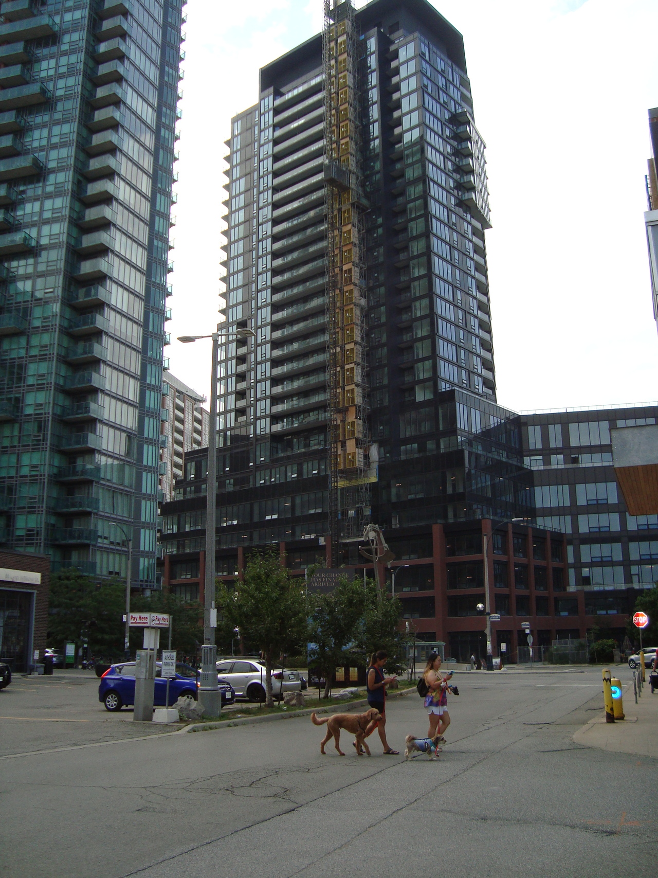 DSC03557.JPG