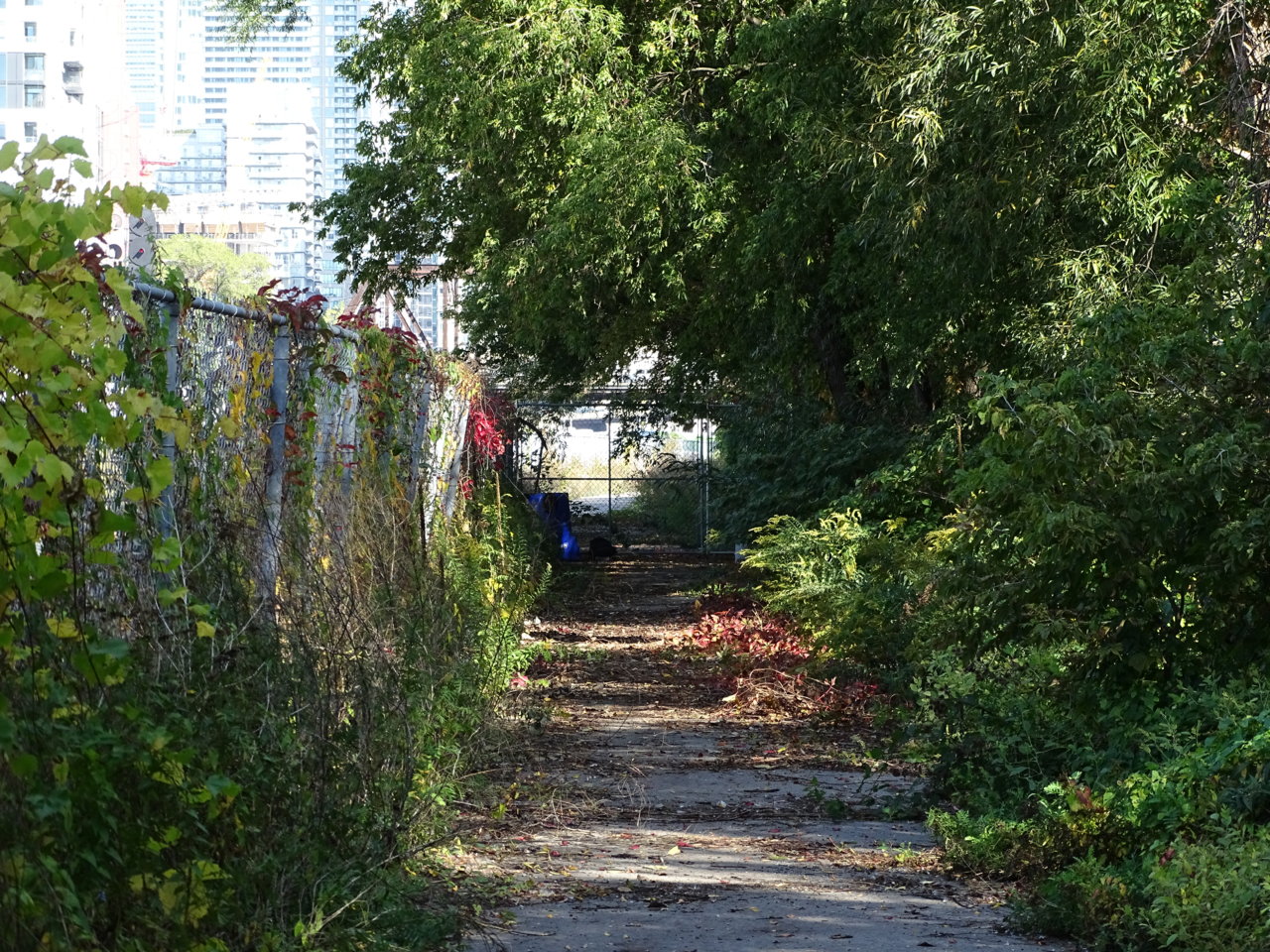 DSC03615.JPG