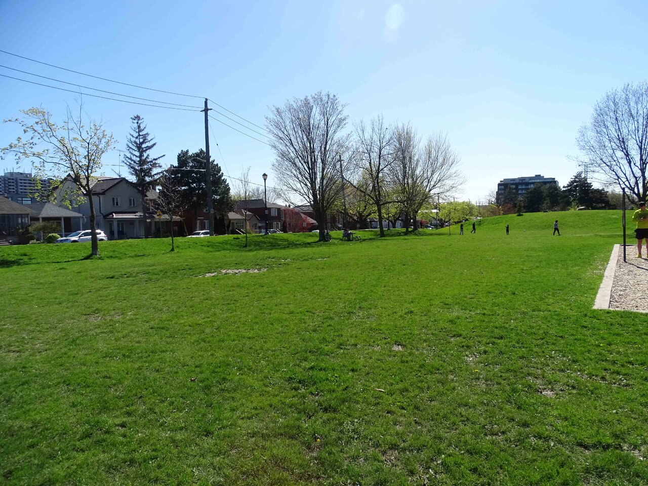DSC03619a.jpg