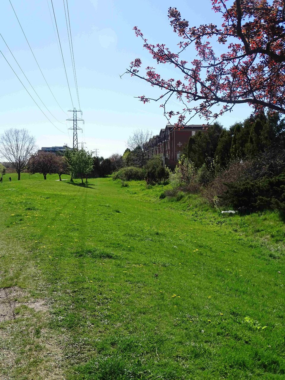 DSC03628a.jpg