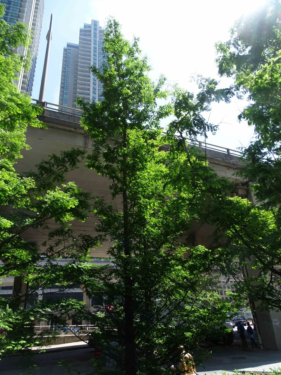 DSC03739b.jpg