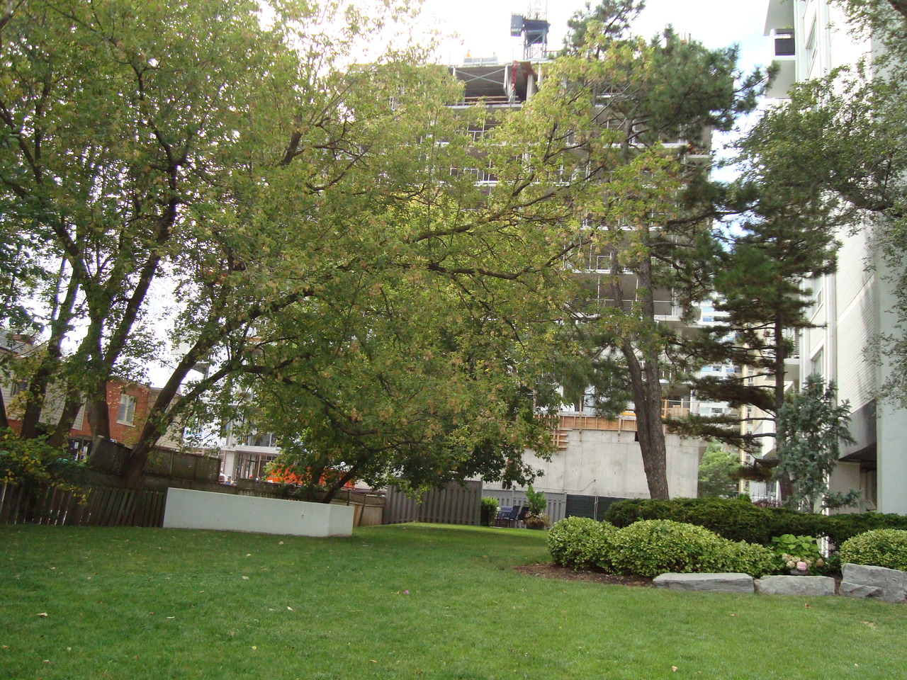 DSC03763.JPG
