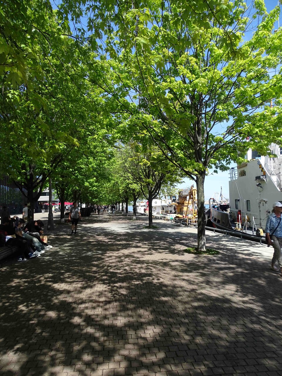 DSC03766b.jpg