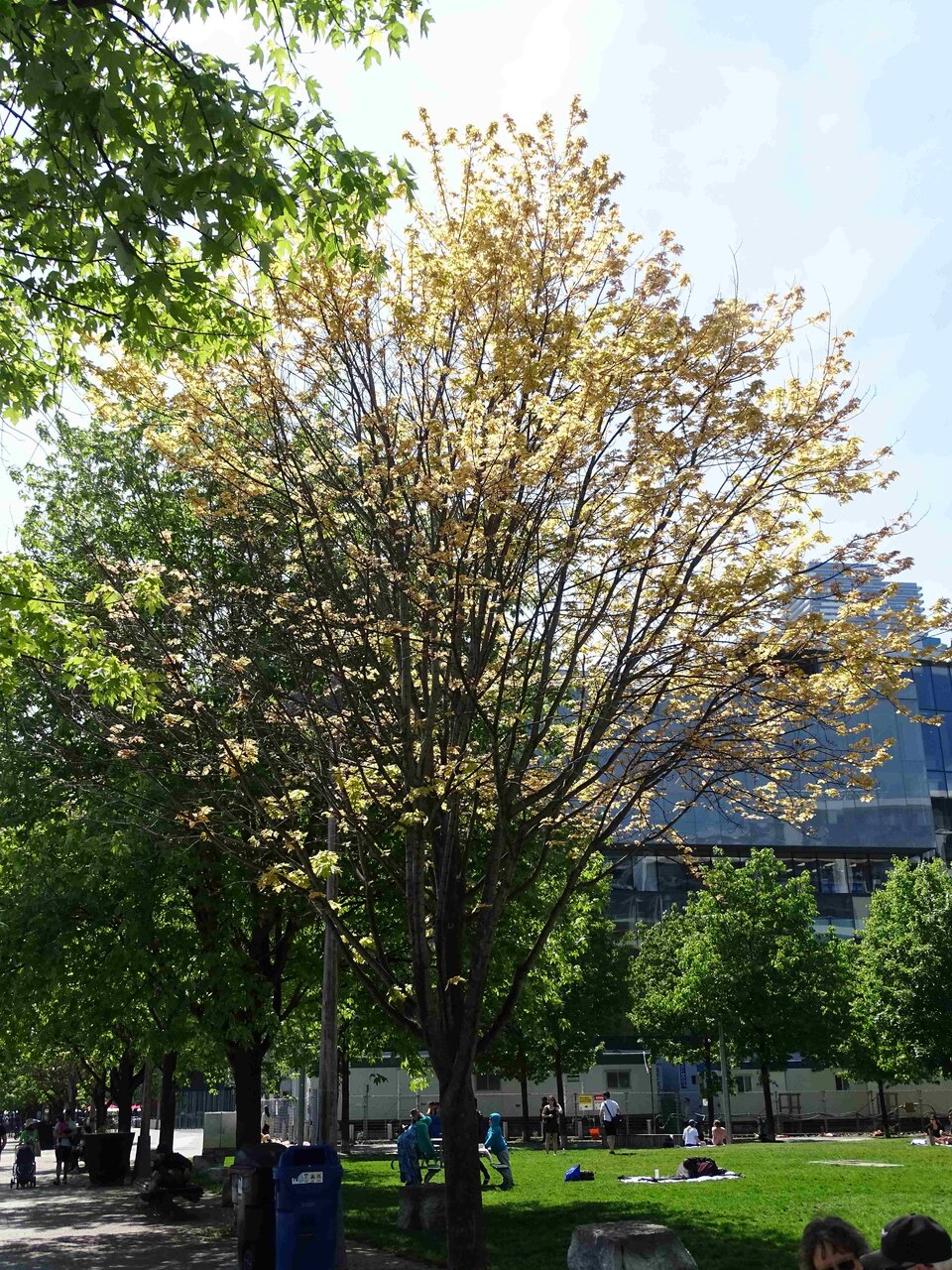 DSC03769b.jpg