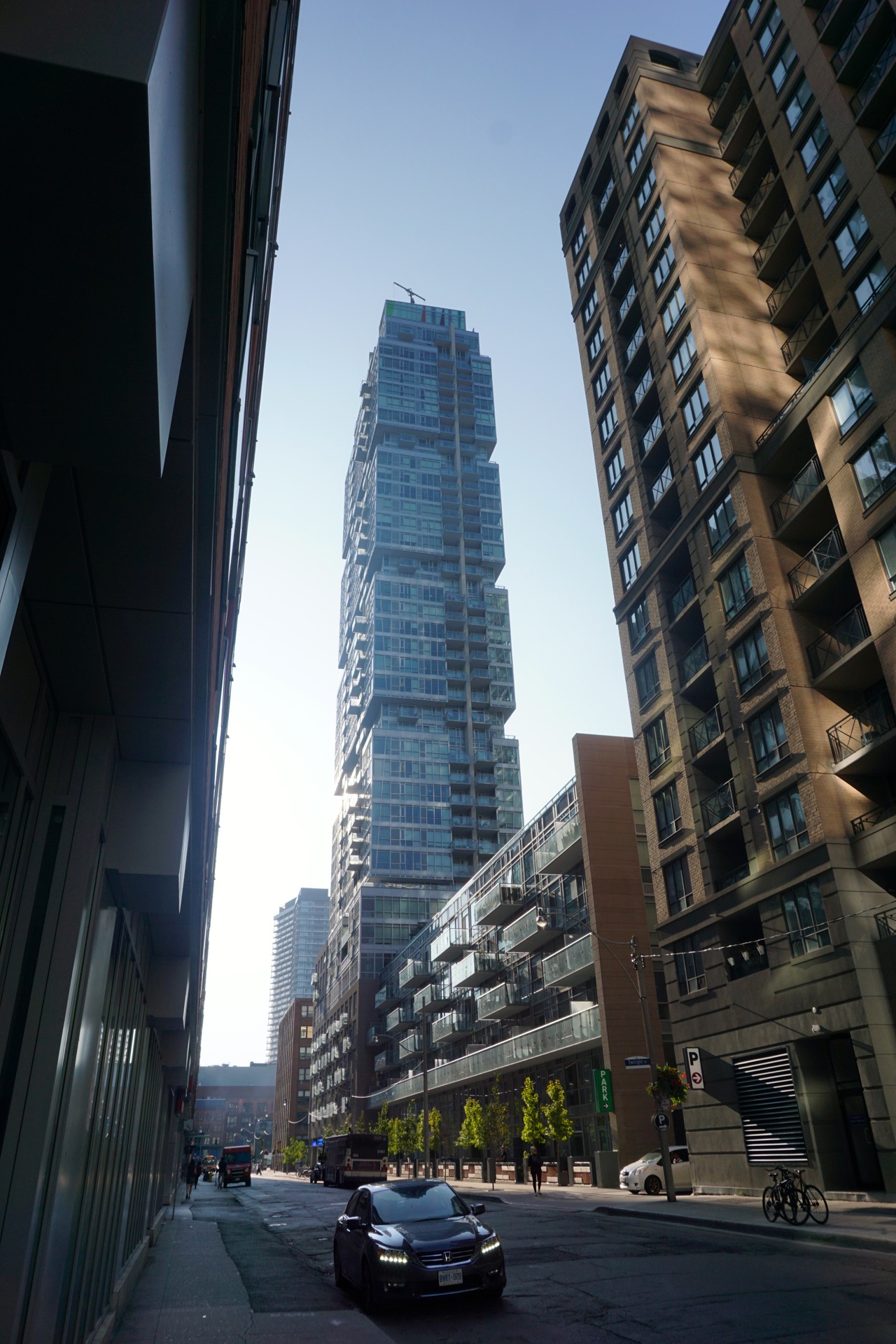 DSC03781.jpg