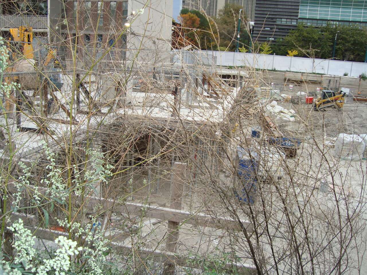 DSC03921.JPG