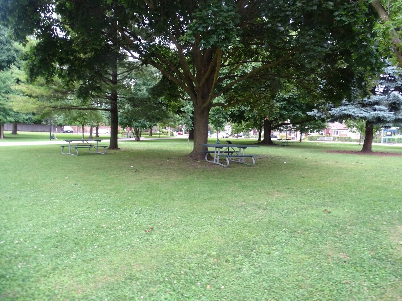 DSC04170.jpg