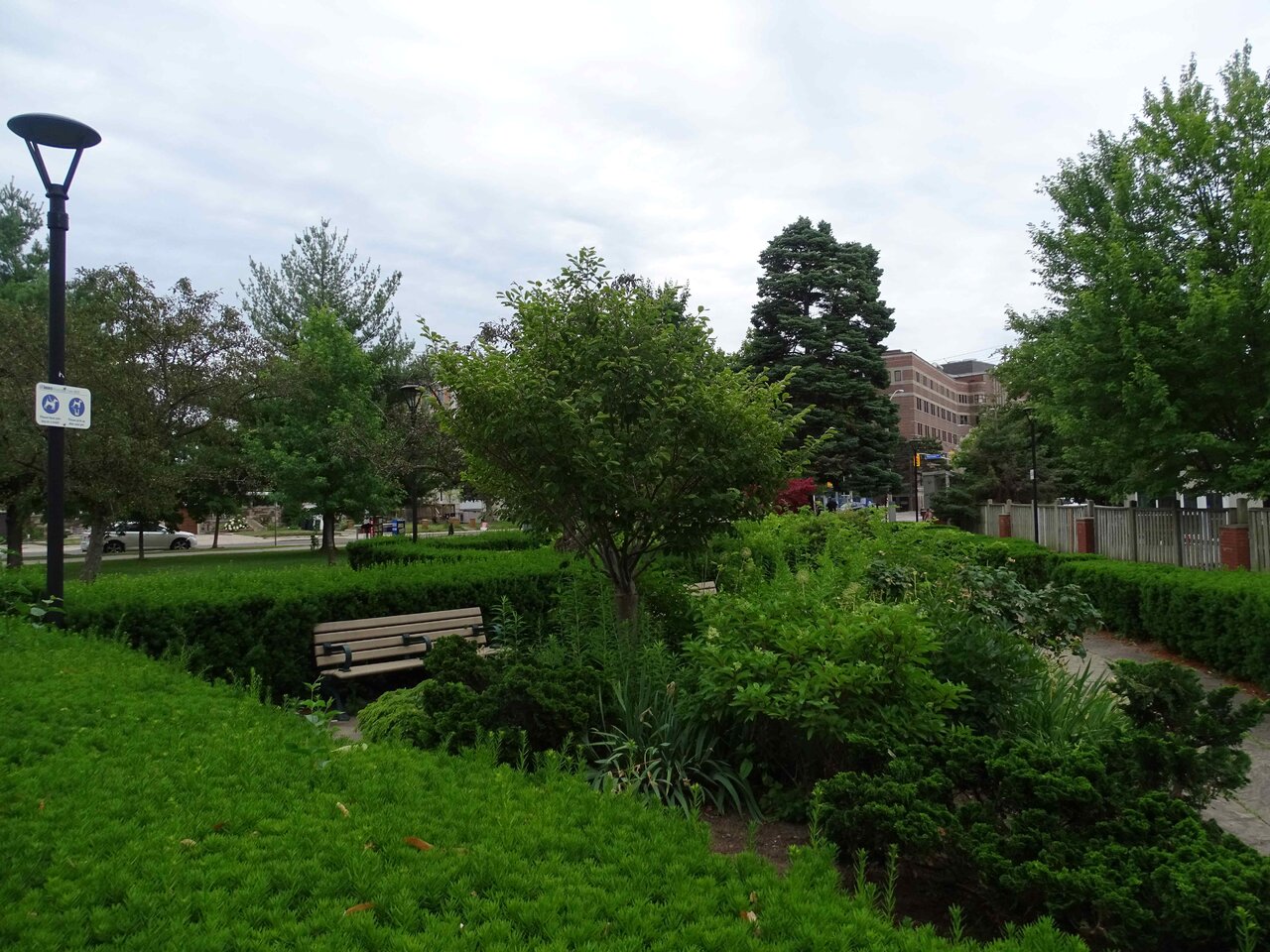DSC04187.jpg