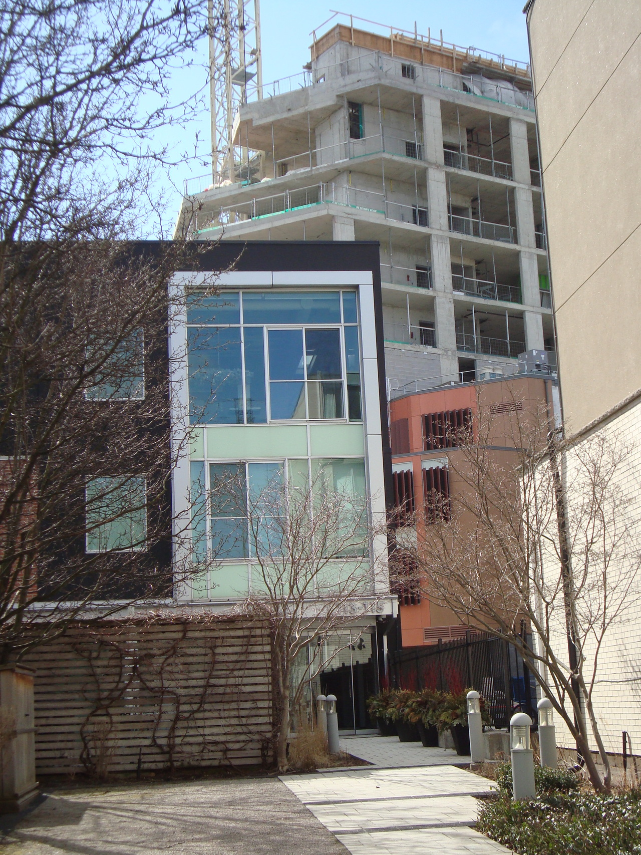 DSC04419.JPG