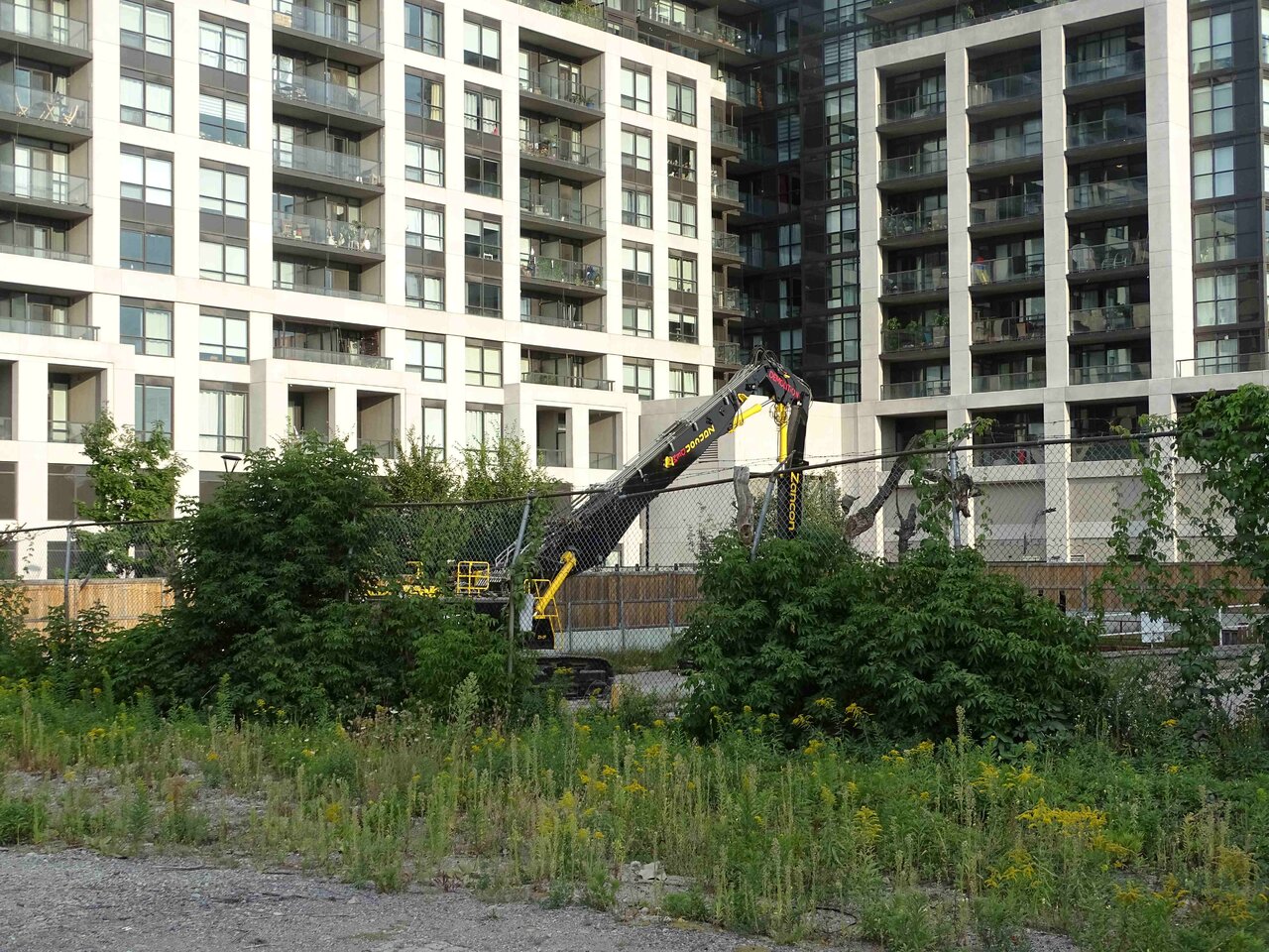 DSC04508.jpg