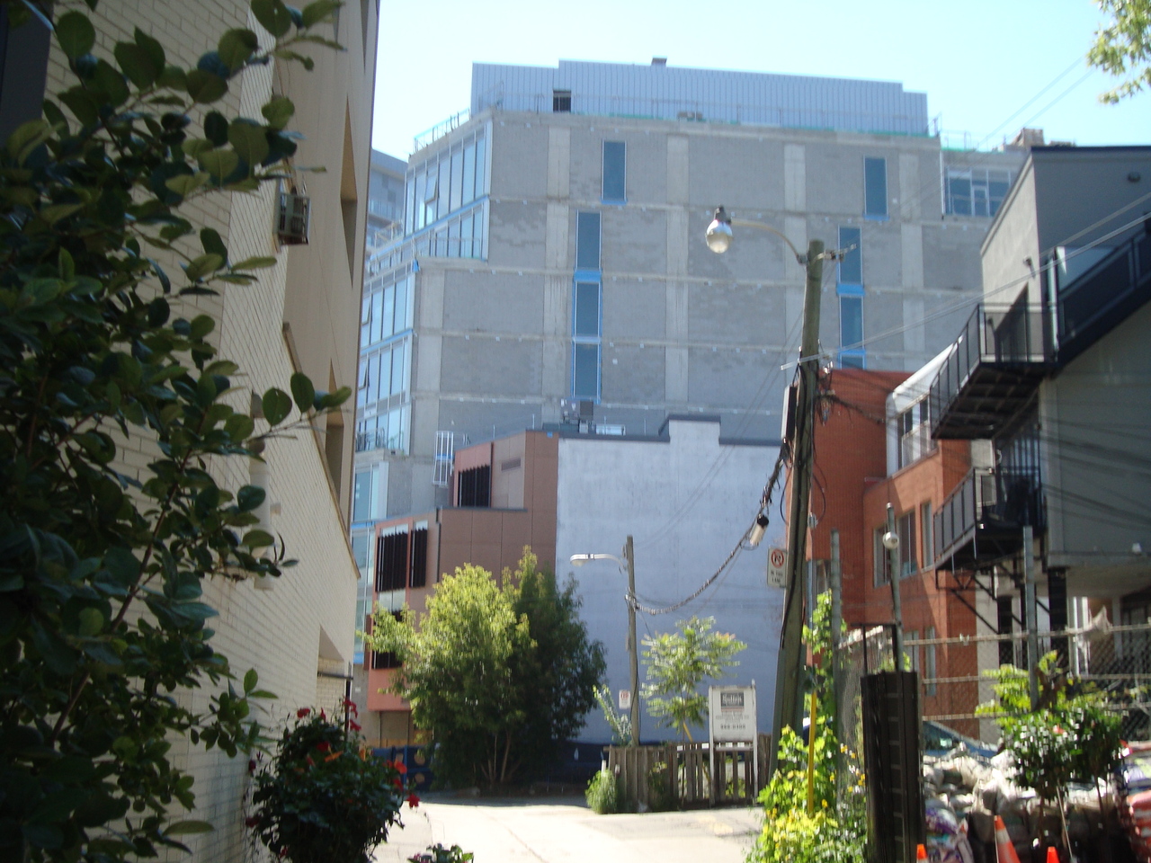 DSC04782.JPG